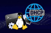 DHCP