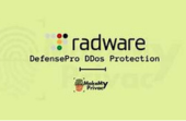 Radware DDOS