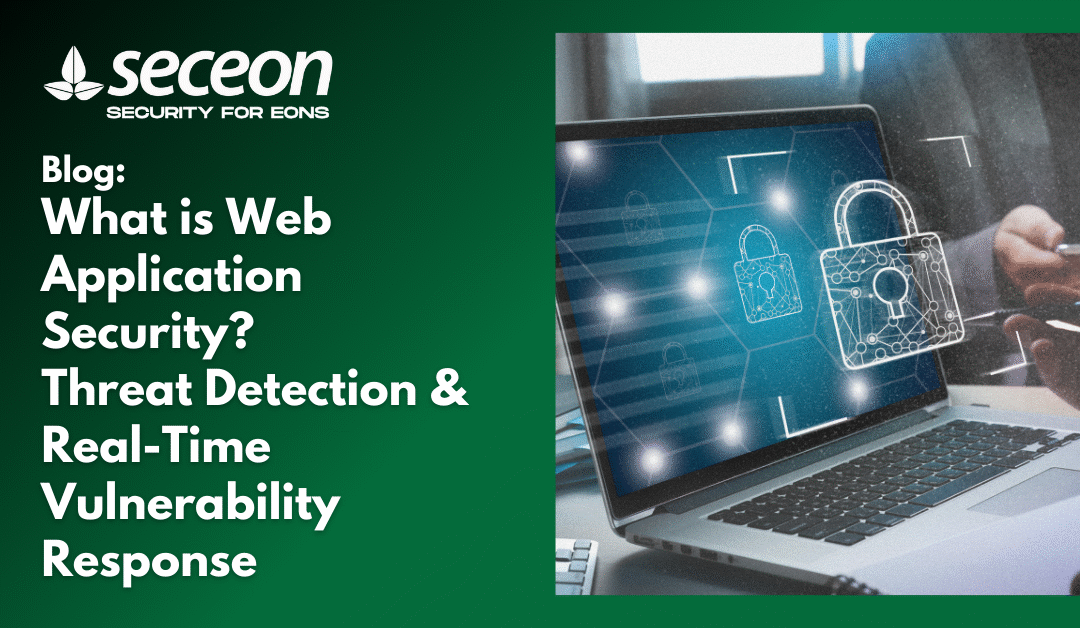 What is Web Application Security?